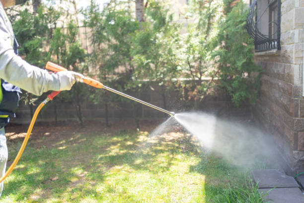 Best Termite Control Services  in Auxvasse, MO